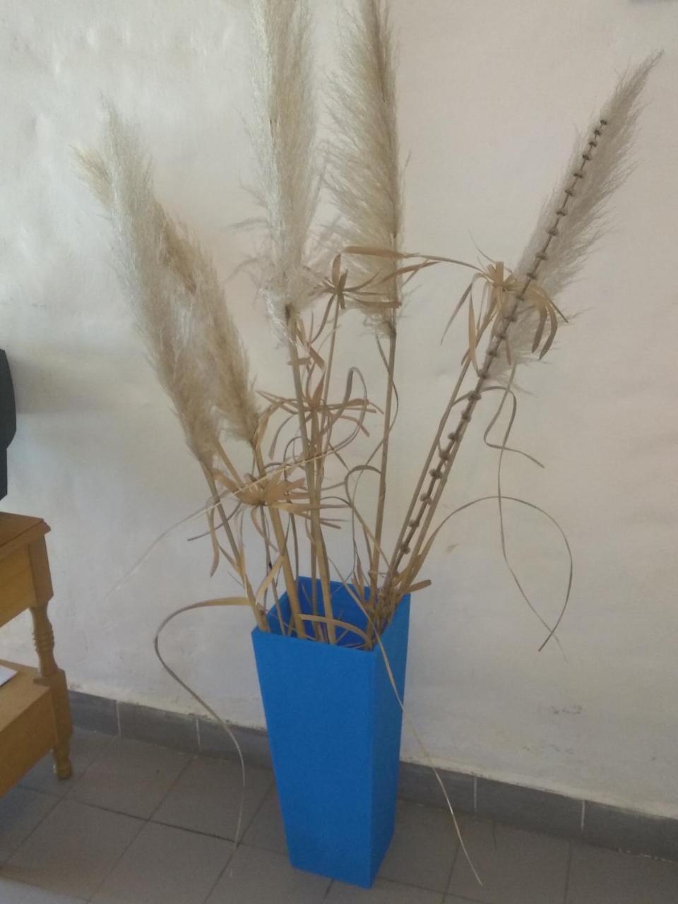 Complejo Viejo Sulky Διαμέρισμα Mina Clavero Εξωτερικό φωτογραφία